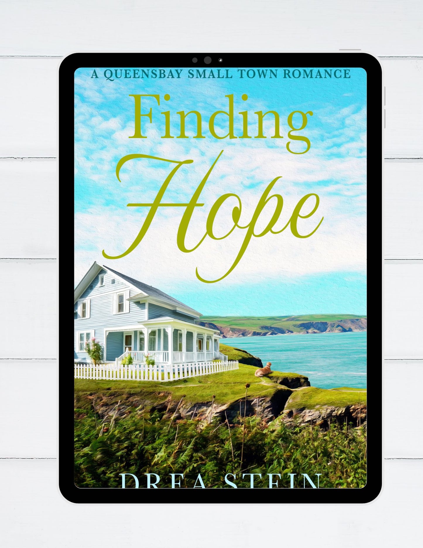 Finding Hope - The Queensbay Series Book 8 - EBook